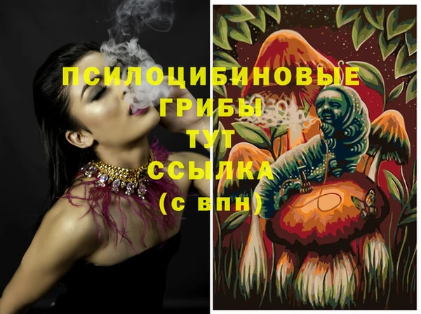 mdma Кукмор