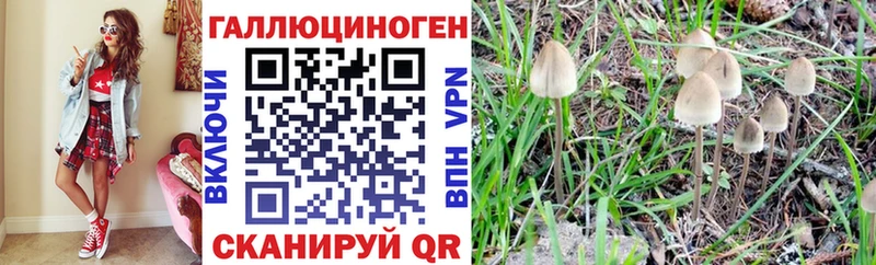 Галлюциногенные грибы Cubensis  Купить закладки  Волгодонск 