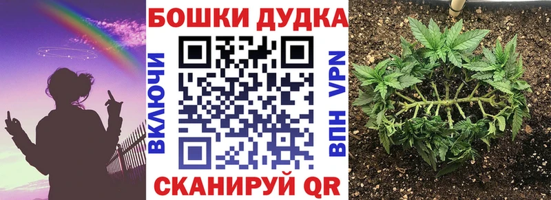 Каннабис SATIVA & INDICA  Купить закладки  Волгодонск 